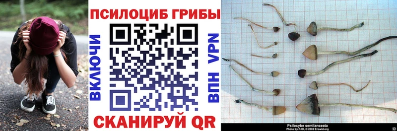 Галлюциногенные грибы ЛСД  Купить  Михайловка 